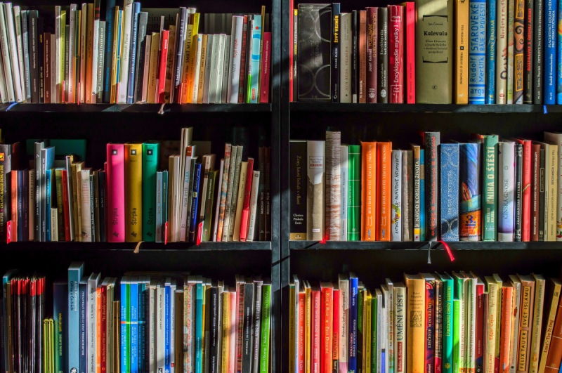 magasin-BRIANCONNET-min_books_bookstore_book_reading_shop_writer_sale_books_read-822866